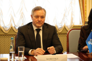 МПА СНГ и Высший избирательный совет Турции договорились объединить усилия в борьбе с дезинформацией о работе наблюдателей