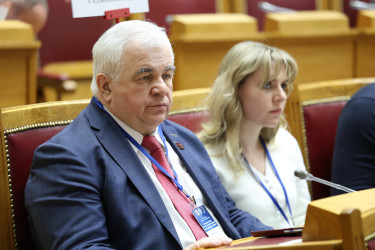 Пленарное заседание международной научно-практической конференции 