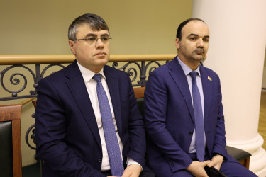 Поиску оптимальной модели наблюдения посвятили круглый стол в Таврическом дворце