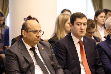 Поиску оптимальной модели наблюдения посвятили круглый стол в Таврическом дворце