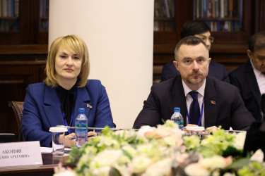 Поиску оптимальной модели наблюдения посвятили круглый стол в Таврическом дворце