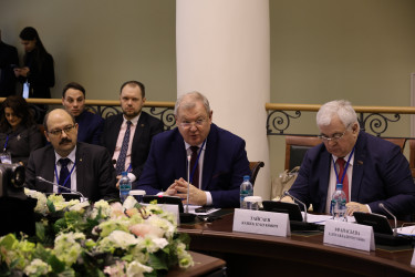 Поиску оптимальной модели наблюдения посвятили круглый стол в Таврическом дворце