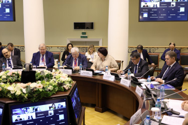 Поиску оптимальной модели наблюдения посвятили круглый стол в Таврическом дворце