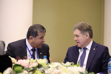 Поиску оптимальной модели наблюдения посвятили круглый стол в Таврическом дворце