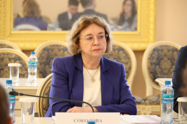 Рабочая группа МПА СНГ одобрила проект модельного закона о трансграничной несостоятельности