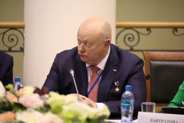 Эксперты стран СНГ, Африки и Латинской Америки обсудили перспективы взаимодействия в области электорального мониторинга