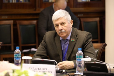 Эксперты стран СНГ, Африки и Латинской Америки обсудили перспективы взаимодействия в области электорального мониторинга