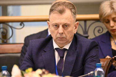 Эксперты стран СНГ, Африки и Латинской Америки обсудили перспективы взаимодействия в области электорального мониторинга