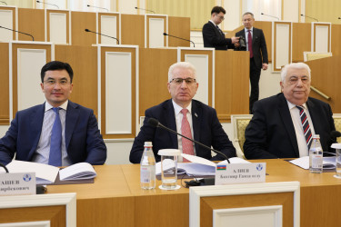 Председатель Конституционного суда Казахстана рассказала наблюдателям от МПА СНГ об этапах конституционной реформы в Казахстане