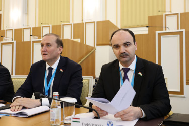 Председатель Конституционного суда Казахстана рассказала наблюдателям от МПА СНГ об этапах конституционной реформы в Казахстане