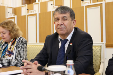 Председатель Конституционного суда Казахстана рассказала наблюдателям от МПА СНГ об этапах конституционной реформы в Казахстане