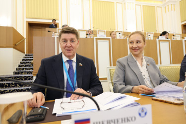 Председатель Конституционного суда Казахстана рассказала наблюдателям от МПА СНГ об этапах конституционной реформы в Казахстане