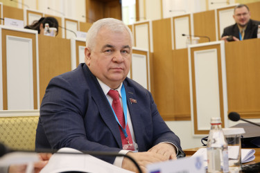 Председатель Конституционного суда Казахстана рассказала наблюдателям от МПА СНГ об этапах конституционной реформы в Казахстане