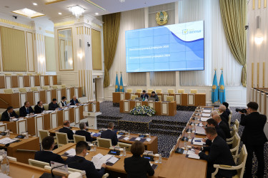 Председатель Конституционного суда Казахстана рассказала наблюдателям от МПА СНГ об этапах конституционной реформы в Казахстане