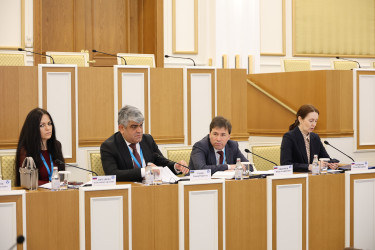 Председатель Конституционного суда Казахстана рассказала наблюдателям от МПА СНГ об этапах конституционной реформы в Казахстане
