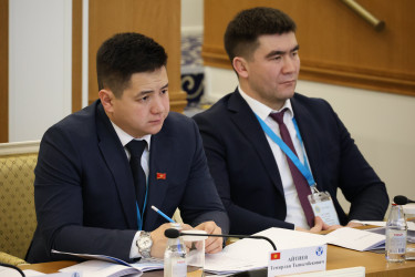 Председатель Конституционного суда Казахстана рассказала наблюдателям от МПА СНГ об этапах конституционной реформы в Казахстане