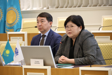 Председатель Конституционного суда Казахстана рассказала наблюдателям от МПА СНГ об этапах конституционной реформы в Казахстане