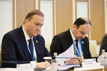 Председатель Конституционного суда Казахстана рассказала наблюдателям от МПА СНГ об этапах конституционной реформы в Казахстане