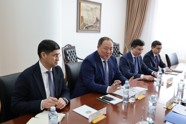 Международные наблюдатели от МПА СНГ обсудили с МИД Казахстана подготовку к референдуму