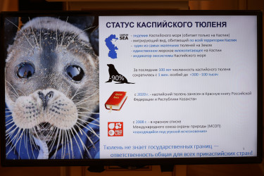 Эксперты стран СНГ ищут решения проблемы водного дефицита в регионе