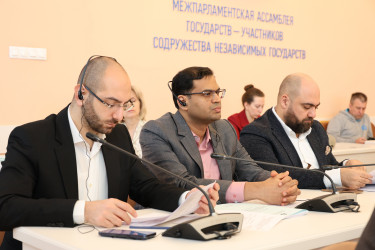 Разработка обновленной Концепции общего миграционного пространства СНГ. 8 апреля 2026