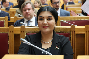 Парламентарии и эксперты обсудили, каким должно быть общее миграционное пространство Содружества