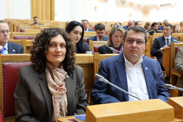 Парламентарии и эксперты обсудили, каким должно быть общее миграционное пространство Содружества