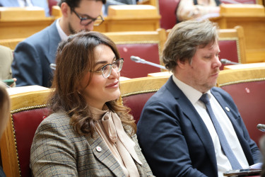 Парламентарии и эксперты обсудили, каким должно быть общее миграционное пространство Содружества