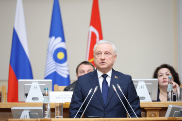 Парламентарии и эксперты обсудили, каким должно быть общее миграционное пространство Содружества