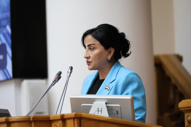 Парламентарии и эксперты обсудили, каким должно быть общее миграционное пространство Содружества