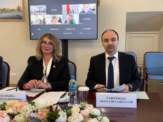 Рабочая группа МПА СНГ подвела итоги работы над проектом модельного закона «О платформенной занятости»