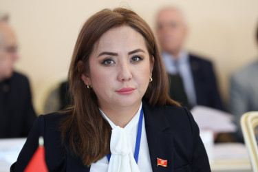 Парламентарии стран Содружества обсудили текущую ситуацию на Ближнем Востоке