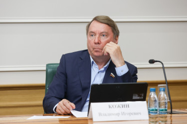 Дмитрий Кобицкий рассказал о законотворческой работе МПА СНГ в Совете Федерации России
