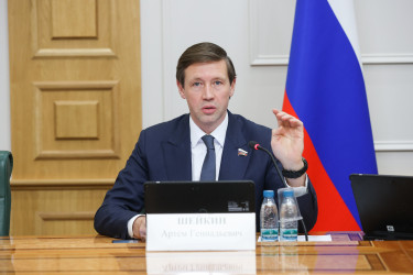 Дмитрий Кобицкий рассказал о законотворческой работе МПА СНГ в Совете Федерации России