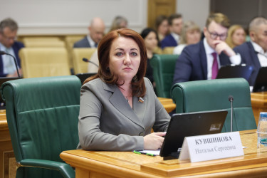 Дмитрий Кобицкий рассказал о законотворческой работе МПА СНГ в Совете Федерации России