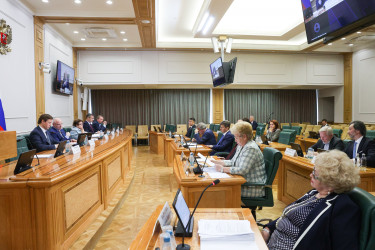 Дмитрий Кобицкий рассказал о законотворческой работе МПА СНГ в Совете Федерации России