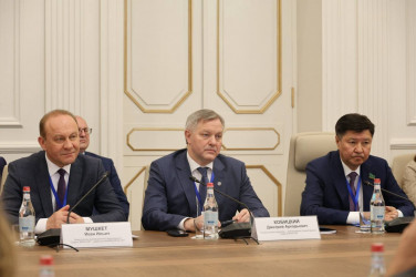 Ален Симонян встретился с наблюдателями от МПА СНГ 