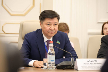 Ален Симонян встретился с наблюдателями от МПА СНГ 
