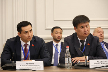 Ален Симонян встретился с наблюдателями от МПА СНГ 