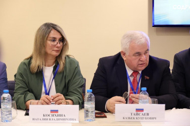 Мониторинговая группа МПА СНГ провела совещание в Ереване