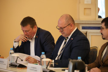 Заседание Экспертного совета по науке и образованию при Межпарламентской Ассамблее СНГ