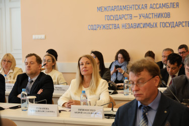  Парламентарии и юристы стран Содружества обсудили новые подходы к созданию модельных законов