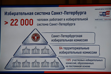 Наблюдатели от МПА СНГ оценили готовность избирательных комиссий Санкт-Петербурга к парламентским выборам в России