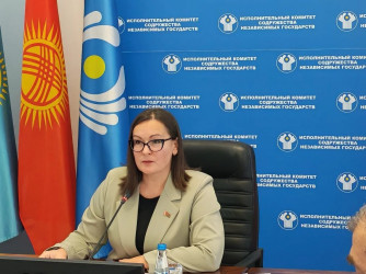 01.10_заседание Рабочей группы по подготовке предложений в проект Плана мероприятий по подготовке и проведению в 2028 году в СНГ Года социального развития и качества жизни