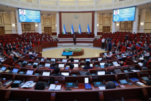 MPs of Republic of Uzbekistan Enshrine in Law Inclusive Education and Education for Adults