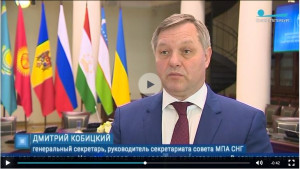 Международный день парламентаризма отмечают представители Межпарламентской Ассамблеи СНГ. Сюжет телеканала «Санкт-Петербург», 30.06.2020