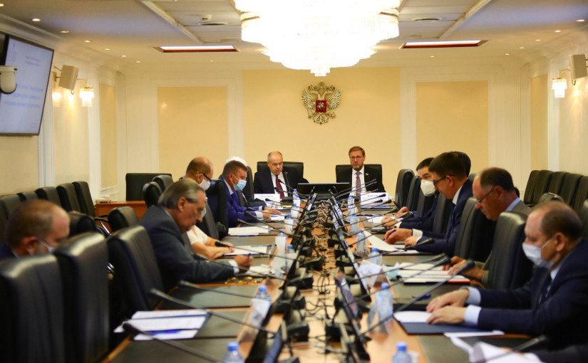 Upper Chamber of Russian Parliament Discussed Opportunities and Mechanisms of Parliamentary Diplomacy 