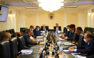 Upper Chamber of Russian Parliament Discussed Opportunities and Mechanisms of Parliamentary Diplomacy 