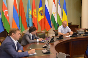 IPA CIS Council Secretariat and CIS Executive Committee Held Working Consultations via Videoconferencing