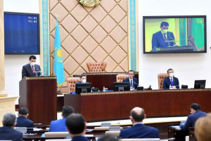 Kazakh MPs Ratify International Treaties